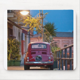 Fiat 500 Cinquecento Muismat