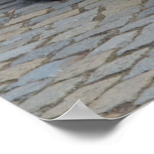 Fiat 500 poster (Hoek)