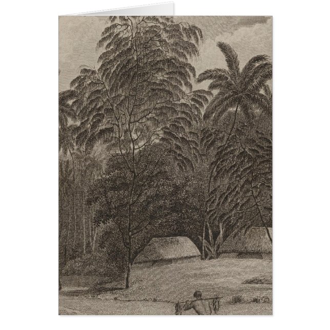 Fiatooka, Tongataboo, Tonga (Voorkant)