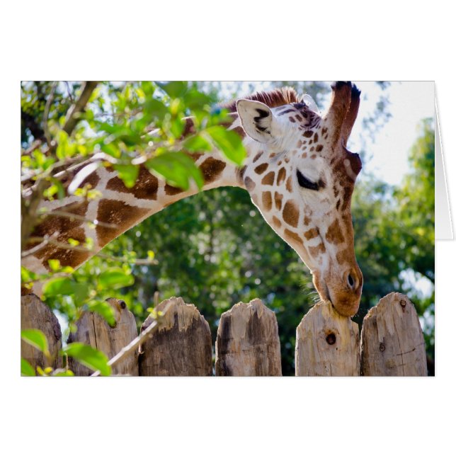 Fiberlicious (Voorkant Horizontaal)