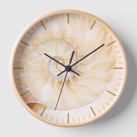 Fibonacci Golden Ration Sacred Geometry Art (Voorkant)