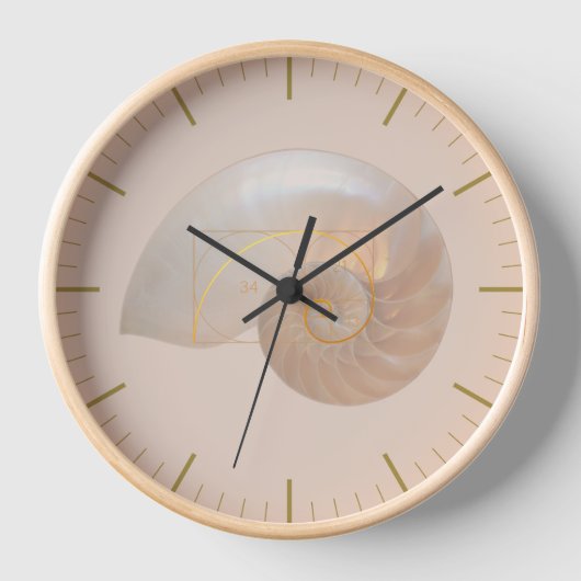 Fibonacci Golden Ration Sacred Geometry Large (Voorkant)