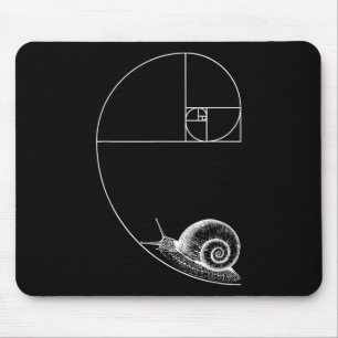 Fibonacci met Snail Mathematics Wiskunde Teacher G Muismat