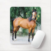 Fibonacci Muismat (Met muis)