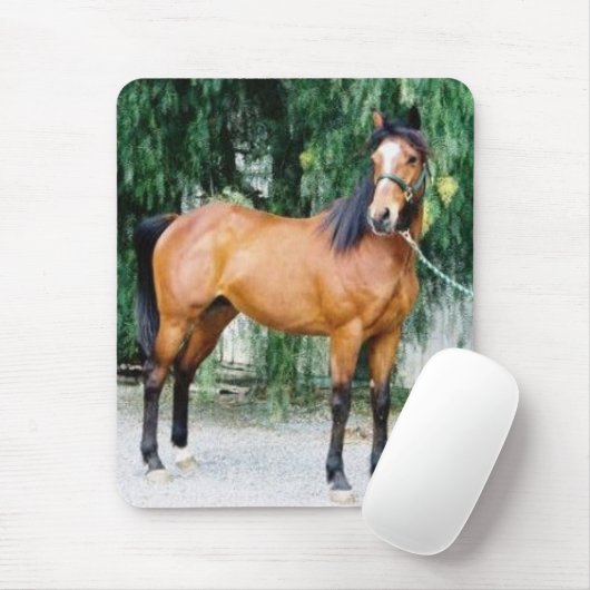 Fibonacci Muismat (Met muis)