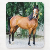 Fibonacci Muismat (Voorkant)