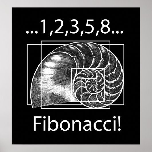 Fibonacci Poster (Voorkant)