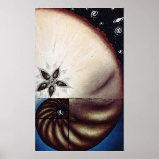 fibonacci poster (Voorkant)