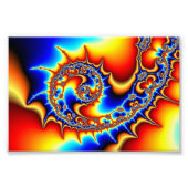 Fibonaccispikant Foto Afdruk (Voorkant)