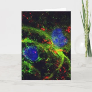 fibrinogeen wenskaart kaart