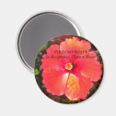 Fibro-acceptatie Magneet (Voorkant / Achterkant)