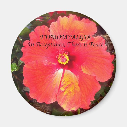 Fibro-acceptatie Magneet (Voorkant)