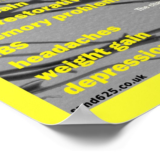 fibromyalgie symptomen poster (Hoek)