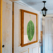 Ficus altissima 'Yellow Gem' blad Perfect Poster