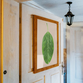 Ficus altissima 'Yellow Gem' blad Perfect Poster