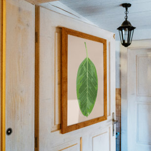 Ficus altissima 'Yellow Gem' blad Perfect Poster