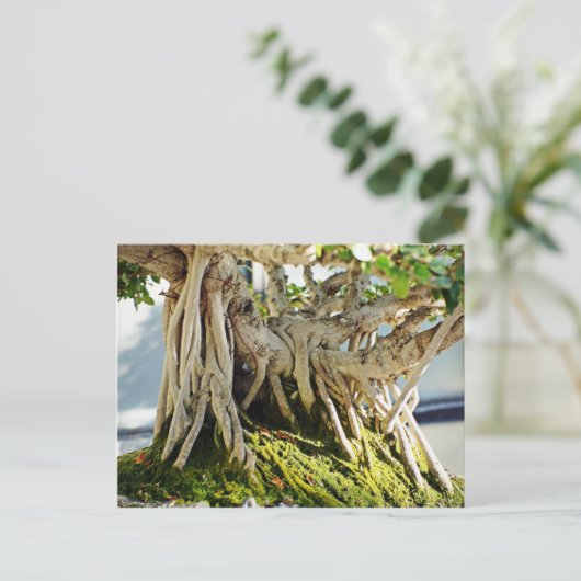 Ficus Banyan Bonsai Tree Roots Briefkaart (Staand voorkant)