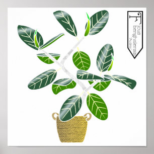 Ficus benghalensis "Audrey" Poster