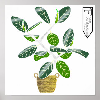 Ficus benghalensis "Audrey" Poster