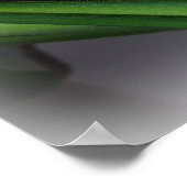 ficus bladeren poster (Hoek)