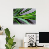 ficus bladeren poster (Thuiskantoor)