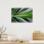 ficus bladeren poster (Keuken)