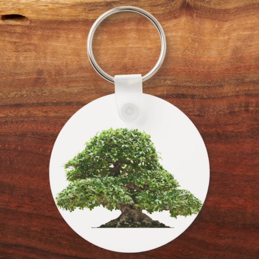Ficus bonsai geïsoleerd sleutelhanger (Voorkant)