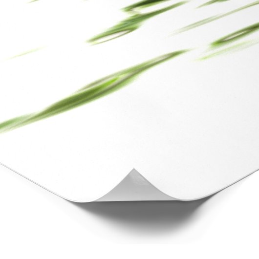 Ficus bonsai poster (Hoek)