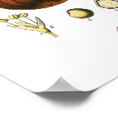 Ficus carica (Fig) Poster (Hoek)