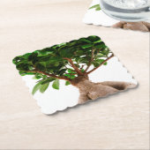 Ficus Ginseng Kartonnen Onderzetters (Gebogen)