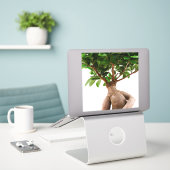 Ficus Ginseng Sticker (Laptop op bureau)