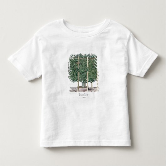 Ficus indica eystettensis uit de "Hortus Eystet" Kinder Shirts (Voorkant)