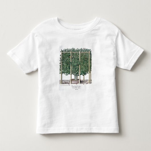 Ficus indica eystettensis uit de "Hortus Eystet" Kinder Shirts (Voorkant)