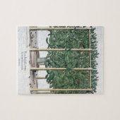 Ficus indica eystettensis uit de "Hortus Eystet" Legpuzzel (Horizontaal)