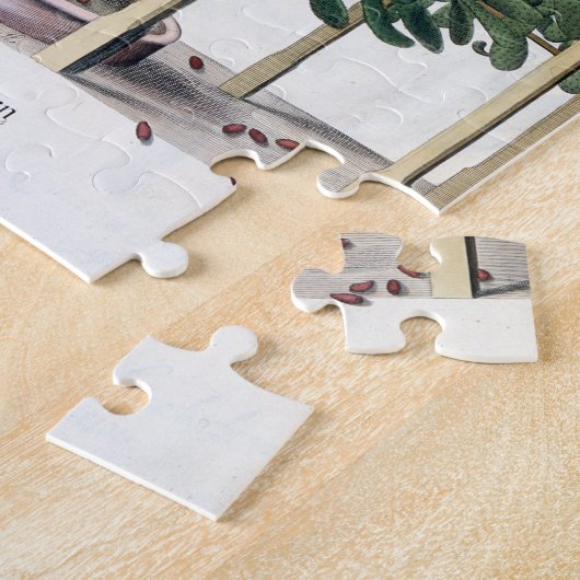 Ficus indica eystettensis uit de "Hortus Eystet" Legpuzzel (Zijkant)