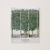 Ficus indica eystettensis uit de "Hortus Eystet" Legpuzzel (Verticaal)