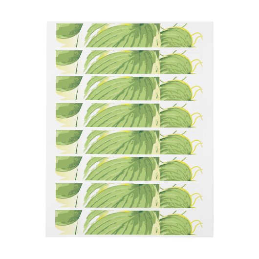 Ficus Plant 2 (Vel)