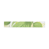 Ficus Plant 2 (Individueel)