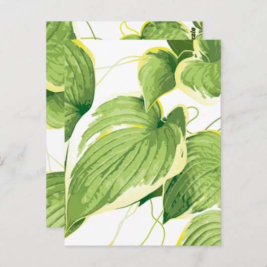 Ficus Plant 2 Briefkaart (Voorkant / Achterkant)