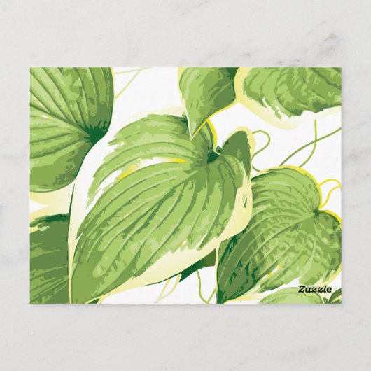 Ficus Plant 2 Briefkaart (Achterkant)