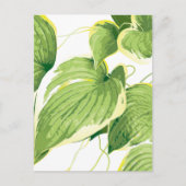 Ficus Plant 2 Feestdagenkaart (Voorkant)