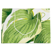 Ficus Plant 2 Groot Cadeauzakje (Voorkant)