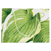 Ficus Plant 2 Groot Cadeauzakje (Achterkant)