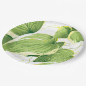Ficus Plant 2 Papieren Bordje (Gekanteld)
