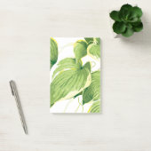 Ficus Plant 2 Post-it® Notes (Kantoor)