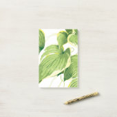 Ficus Plant 2 Post-it® Notes (Op bureau)