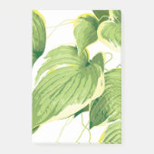 Ficus Plant 2 Post-it® Notes (Voorkant)