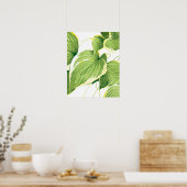 Ficus Plant 2 Poster (Keuken)