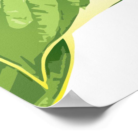 Ficus Plant 2 Poster (Hoek)