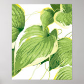 Ficus Plant 2 Poster (Voorkant)